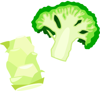 イラストイメージ