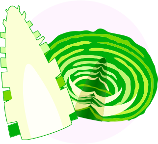 イラストイメージ
