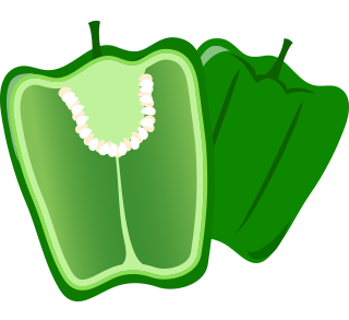 イラストイメージ