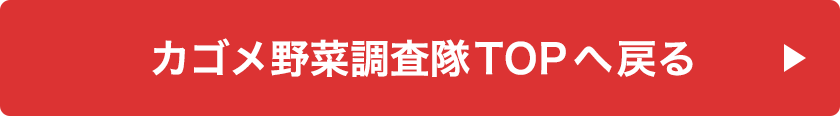 カゴメ野菜調査隊TOPへ戻る