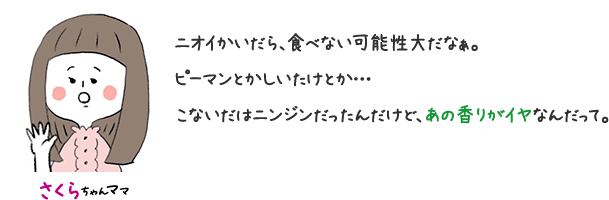 さくらちゃんママ ニオイかいだら、食べない可能性大だなぁ。 ピーマンとかしいたけとか… こないだはニンジンだったんだけど、あの香りがイヤなんだって。
