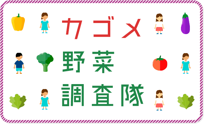 カゴメ野菜調査隊