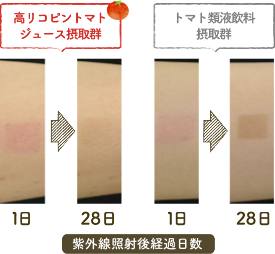 カゴメ株式会社 はじめよう ベジビューティー 野菜飲料で内からキレイはじめましょ カゴメ株式会社 はじめよう ベジビューティー 野菜飲料で内からキレイはじめましょ