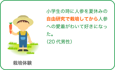 野菜の種植え・水やり 経験あり66.9% 経験なし33.1%