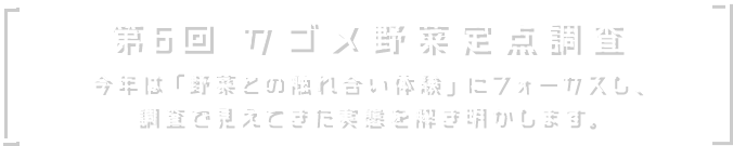 第6回 カゴメ野菜定点調査。今年は「野菜との触れ合い体験」にフォーカスし、調査で見えてきた実態を解き明かします。