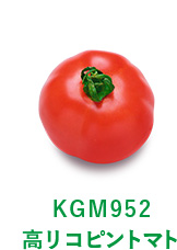 KGM952 高リコピントマト