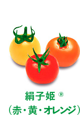 絹子姫（赤・黄・オレンジ）