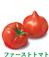ファーストトマト