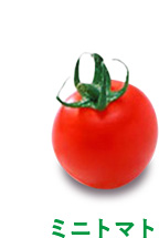 ミニトマト
