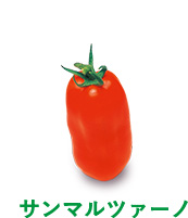 サンマルツァーノ