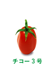 チコー3号
