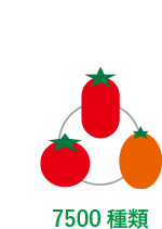 7500種類