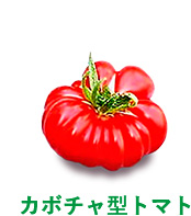 カボチャ型トマト