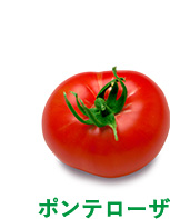 ポンテローザ