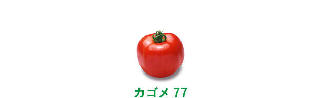 カゴメ77