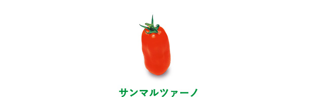 サンマルツァーノ