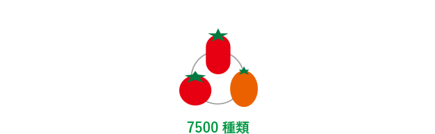 7500種類