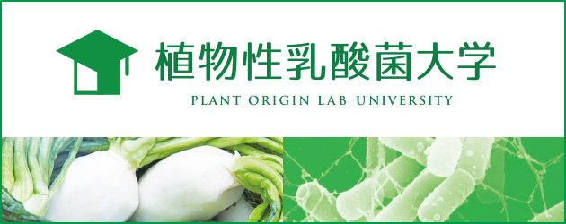 植物性乳酸菌大学