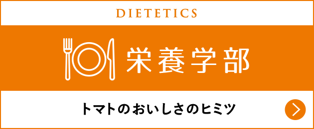 栄養学部 トマトのおいしさのヒミツ