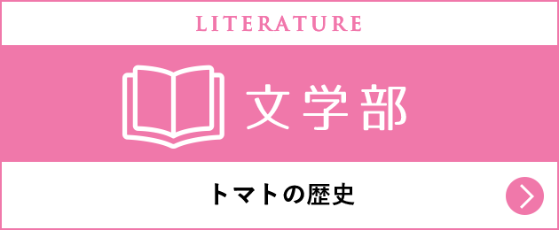 文学部 トマトの歴史
