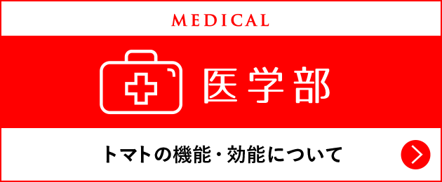 医学部 トマトの機能・効能について