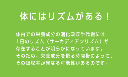 体にはリズムがある！ 体内での栄養成分の消化吸収や代謝には1日のリズム（サーカディアンリズム）が存在することが明らかになっています。そのため、栄養成分を摂る時間帯によって、その吸収率が異なる可能性があるのです。