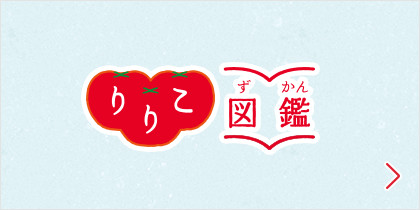 りりこ図鑑