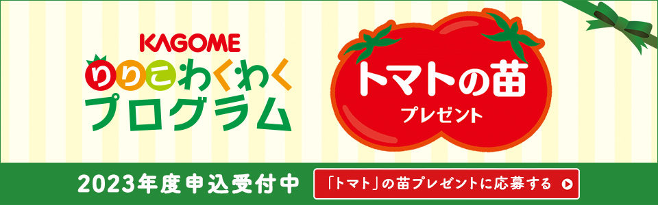 KAGOME　りりこわくわくプログラム