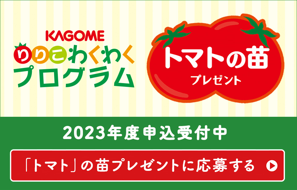 KAGOME　りりこわくわくプログラム