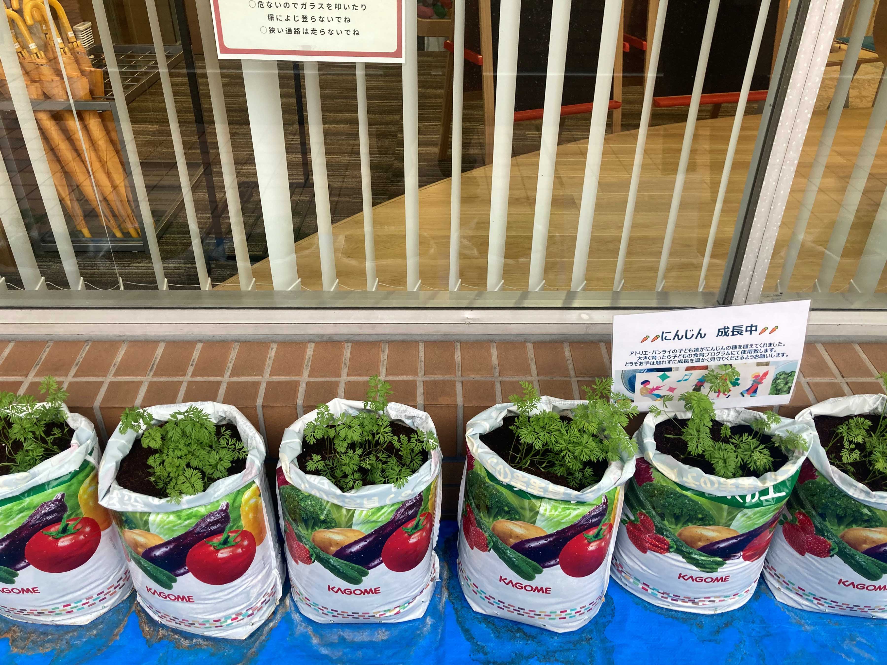 banrai_2.jpg banrai_2.jpg