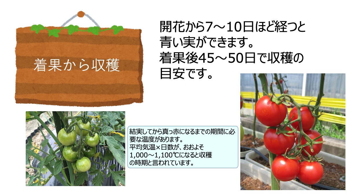 ベネッセ1.jpeg