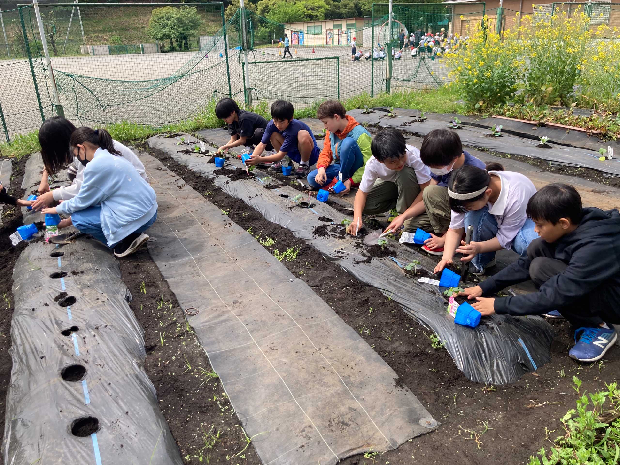 nexusチャレンジパーク早野で、近隣小学校と協業した「トマトチャレンジ2025」がスタート 東急1.jpg