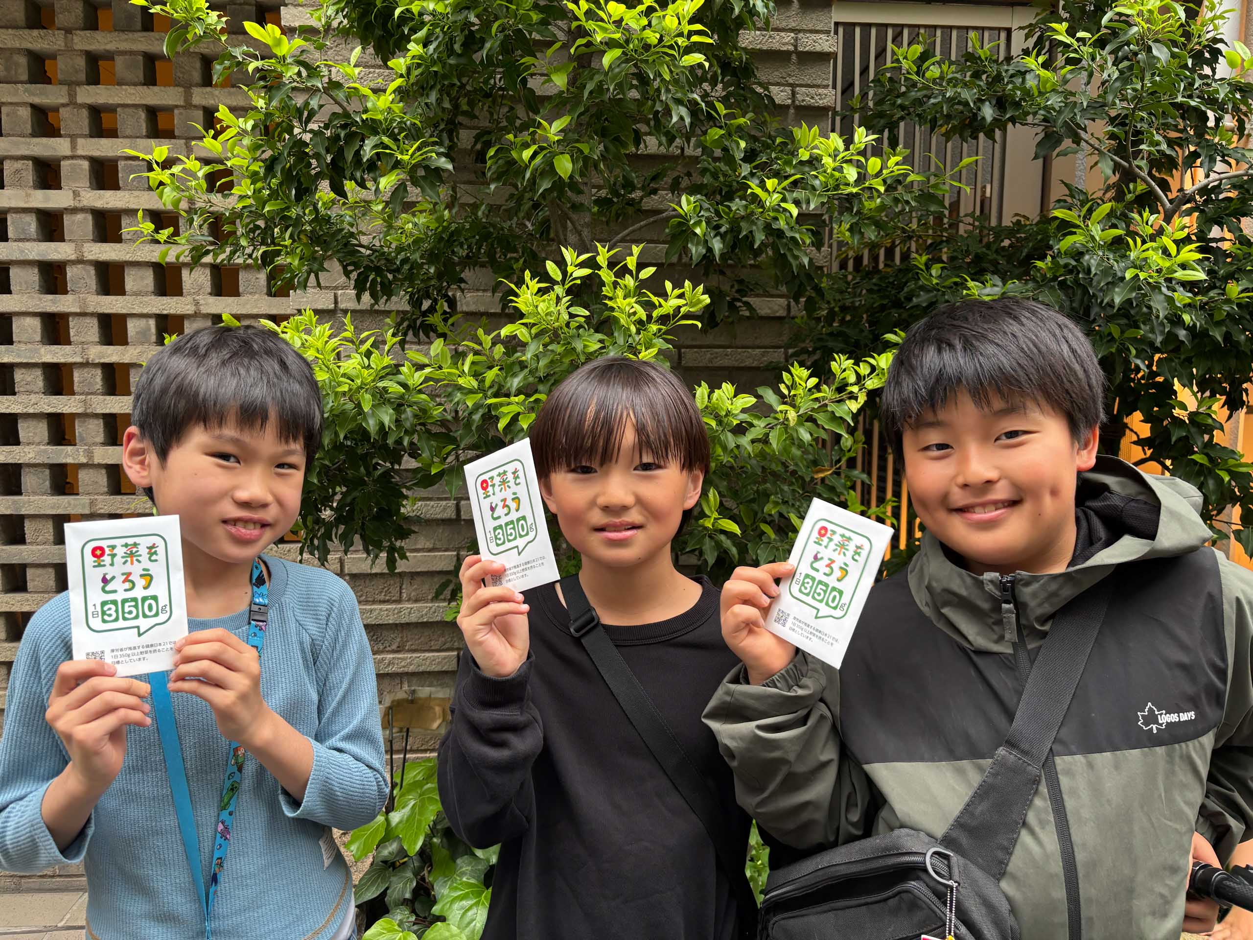 タキイ種苗が「野菜をとろう」オリジナルデザインのリーフレタスの種1万袋を、賛同企業へサンプリング タキイ1jpg