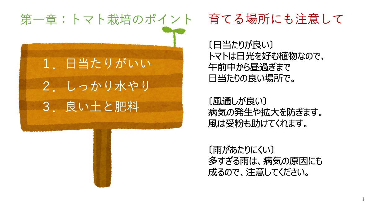 ベネッセが運営する190施設にトマト苗を配布。職員向け「トマト栽培講習会」も開催 benesse1.jpeg