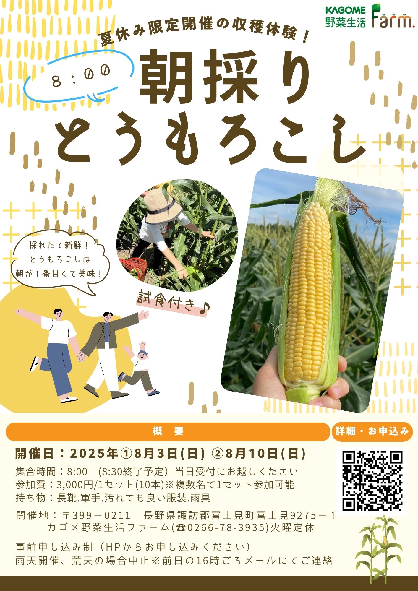 朝どれとうもろこし.jpg