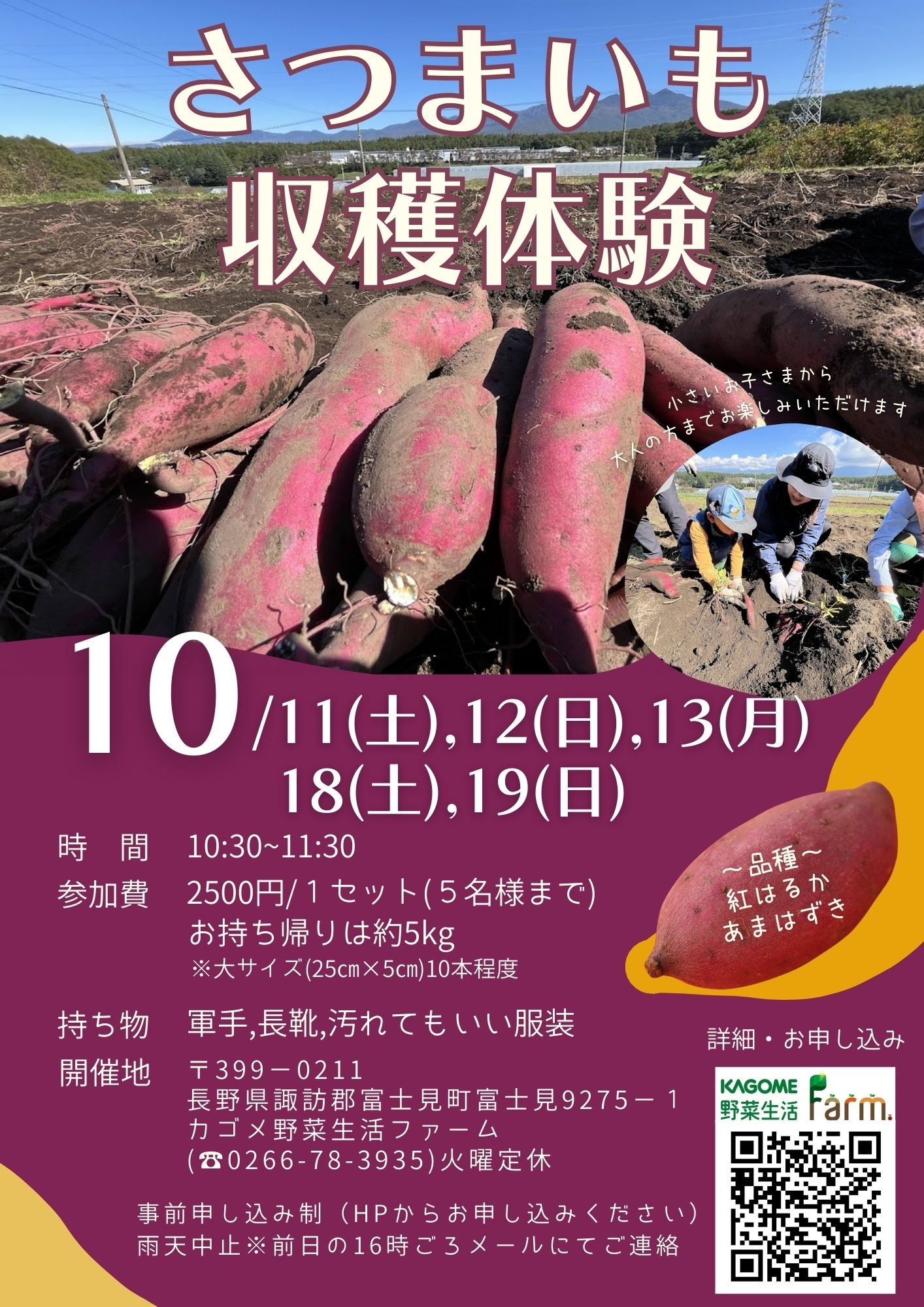 さつまいも2025.jpg