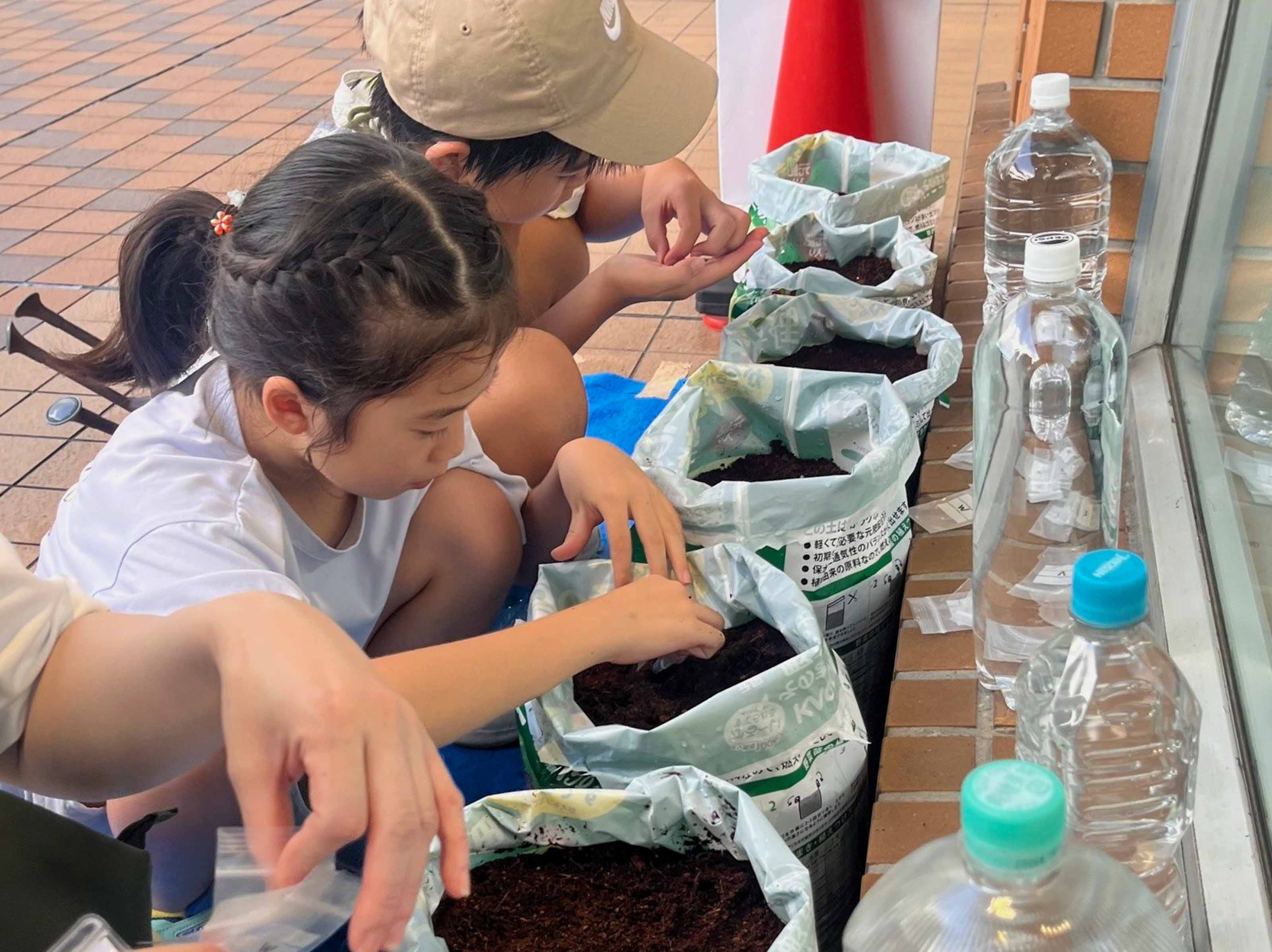 banrai_1.jpg banrai_1.jpg