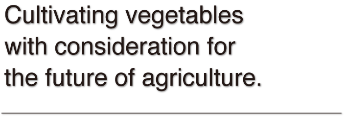 Cultivating vegetables with consideration for the future of agriculture.