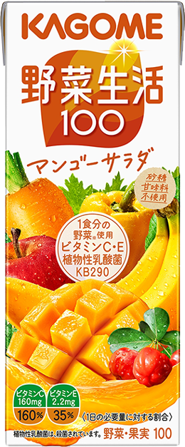 マンゴーサラダ（200ml）