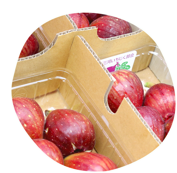 完熟のおいしいいちじく!