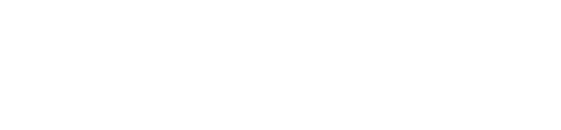 北の大地に根づいた、小さな紫色のベリー!
