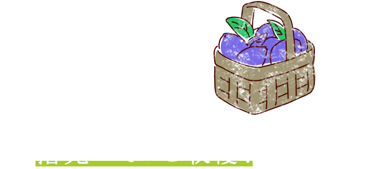 柔らかい果実をつぶさないように、指先でそっと収穫!