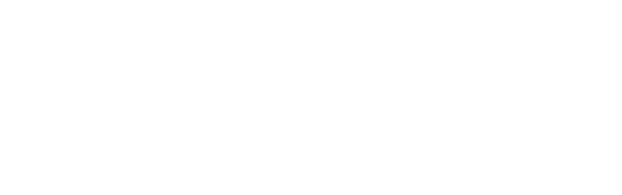 夏の名残りの桃・「川中島白桃」