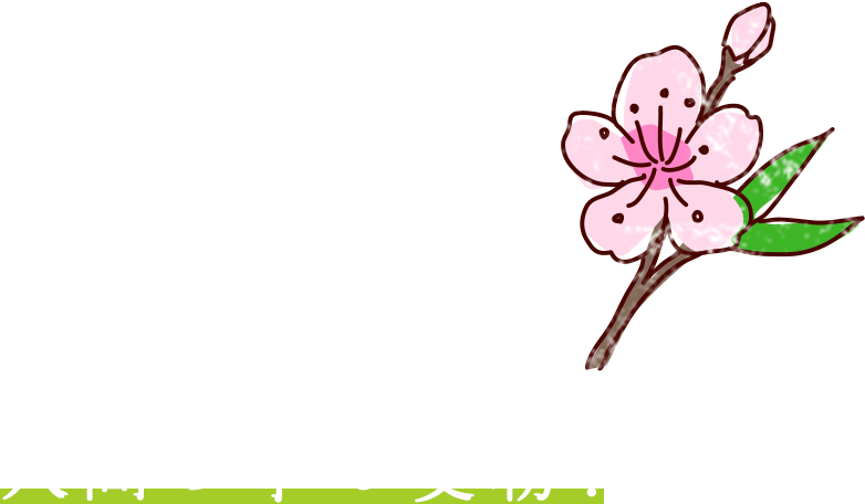 花粉が少ない「川中島白桃」は、人間の手で受粉!