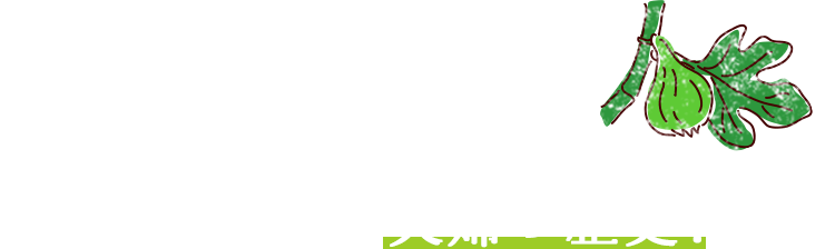 結婚した年に植えてもらった 「いちじく」は、夫婦の歴史!