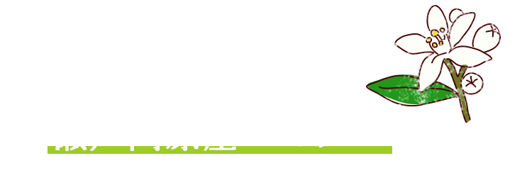瀬戸内原産のミカン「八朔(ハッサク)」