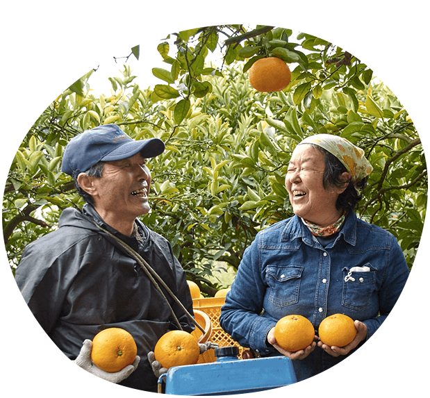 夫婦円満の秘訣はミカン?!