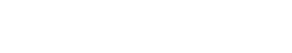 ビタミンCがたくさん摂れるキウイフルーツ!
