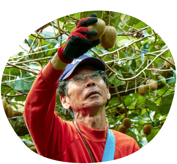 大きく甘い果実を目指して!