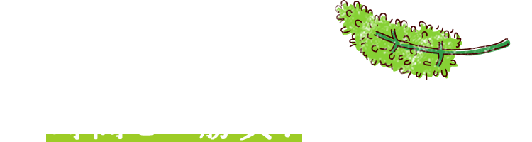 花の時期の「房切り」は、時間との勝負!